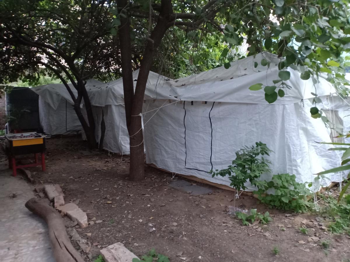 Nature Trail Camps & Homestay Jodhpur  Bagian luar foto
