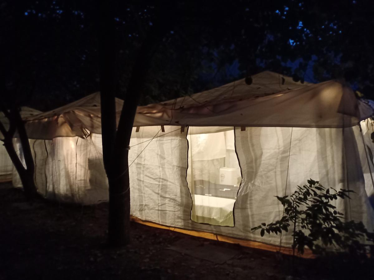 Nature Trail Camps & Homestay Jodhpur  Bagian luar foto