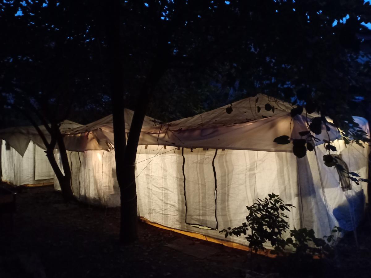 Nature Trail Camps & Homestay Jodhpur  Bagian luar foto