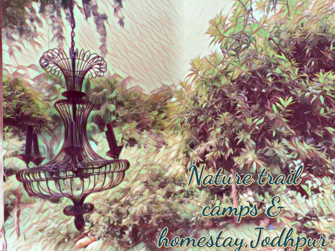 Nature Trail Camps & Homestay Jodhpur  Bagian luar foto