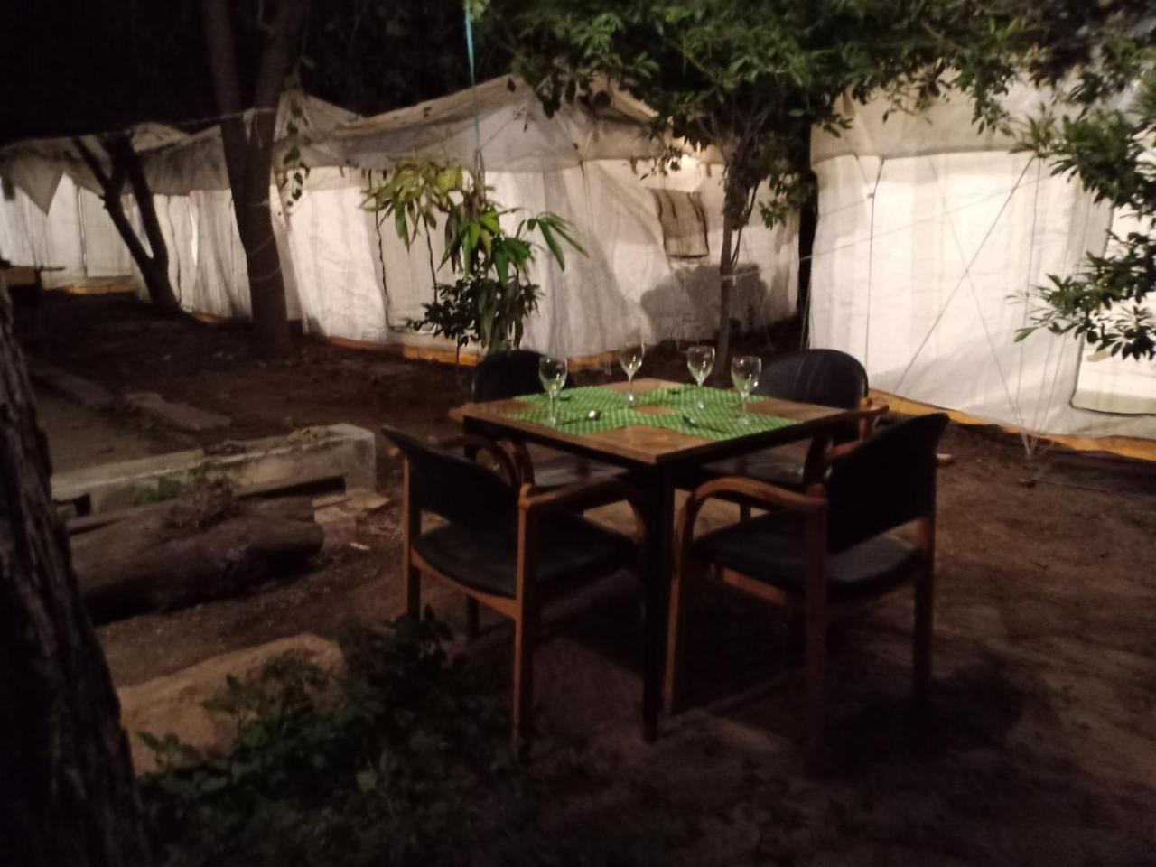 Nature Trail Camps & Homestay Jodhpur  Bagian luar foto