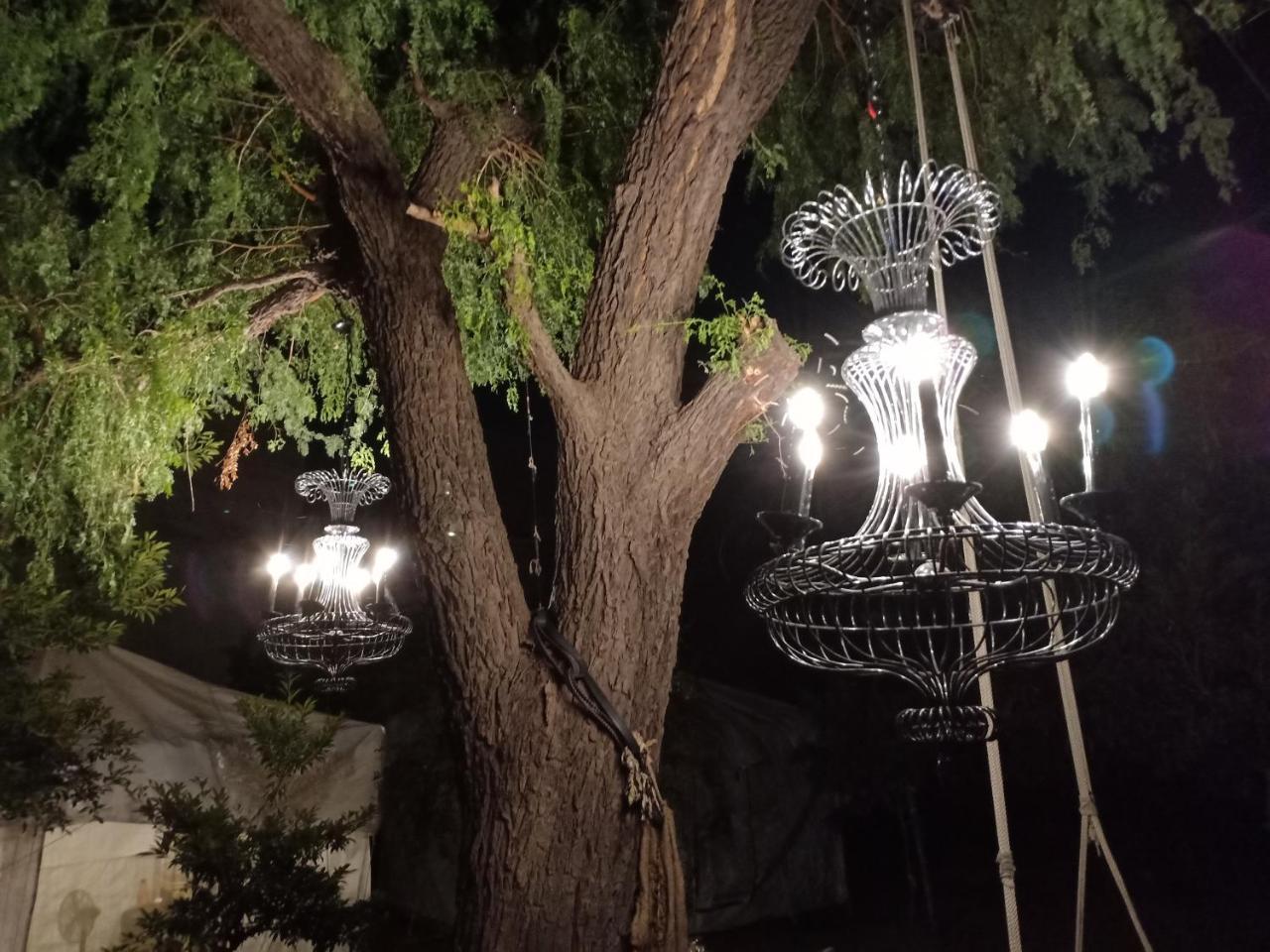 Nature Trail Camps & Homestay Jodhpur  Bagian luar foto