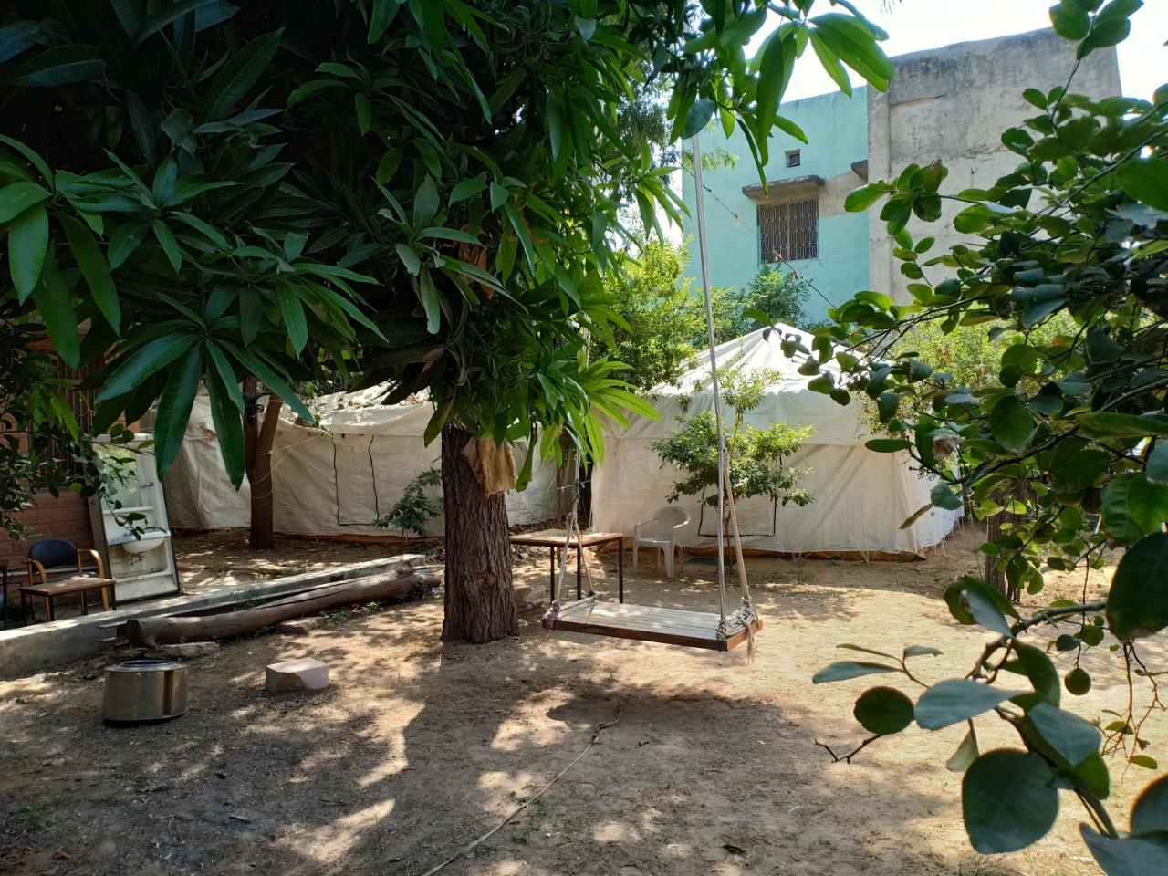 Nature Trail Camps & Homestay Jodhpur  Bagian luar foto