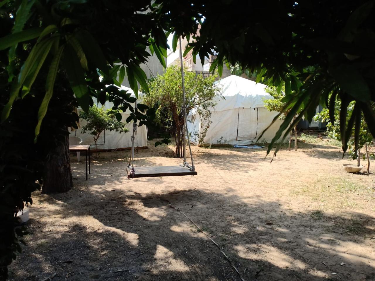 Nature Trail Camps & Homestay Jodhpur  Bagian luar foto